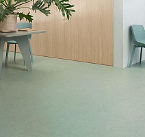 Forbo Marmoleum Decibel on Order 389135 sage фото 2 | FLOORDEALER